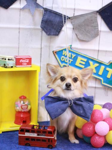 20230412かぶ蔵くん